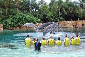 Discovery Cove is a theme park owned and operated by SeaWorld Parks & Entertainment, and located in Orlando, Florida.