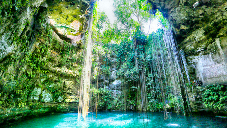 Diving into a cenote in the Yucatan Peninsula