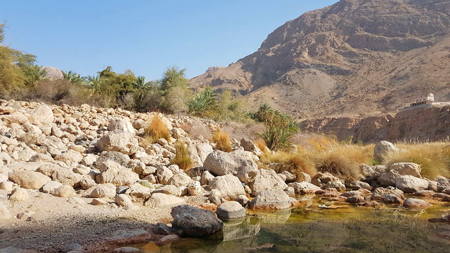 Go trekking to see wadis natural springs in Oman