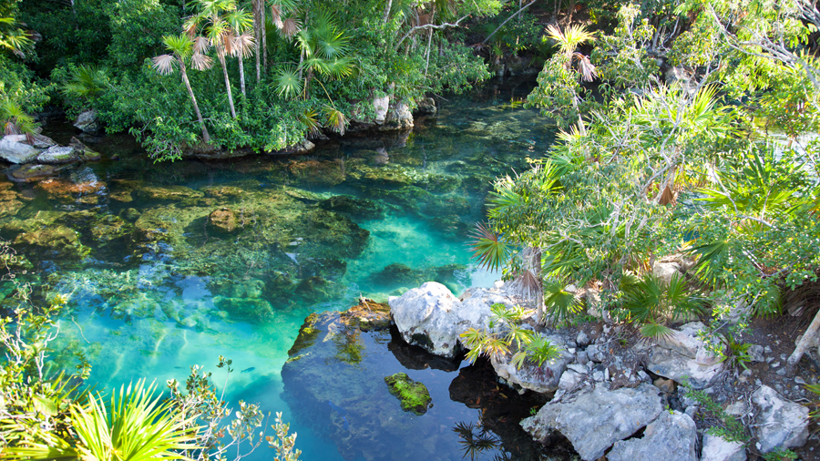 Xcaret Eco Park in Riviera Maya